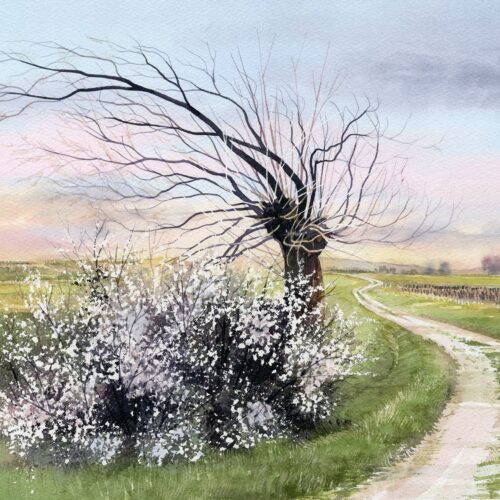 au delà de l'épine web