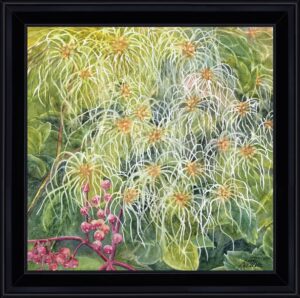 bal d'akènes caisse web