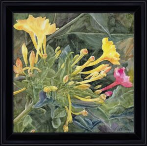 belles de jour caisse web