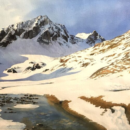 bernard völlmy ombres et lumières alpines