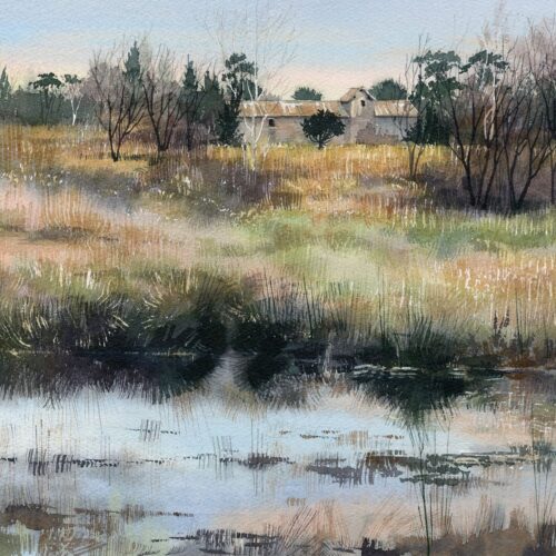 brousse en brosse web