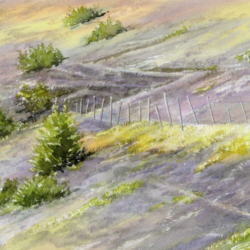 bruyère d'aigoual web