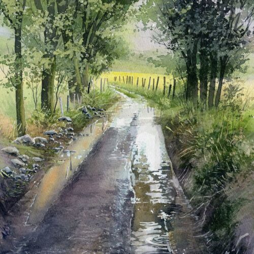 chemin des gouilles web