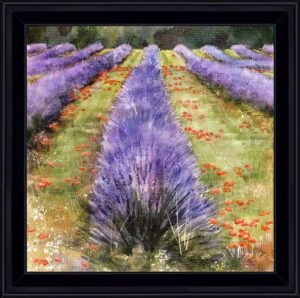 coquelicots parfumés