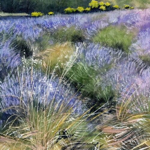 crebassac badafièrs web