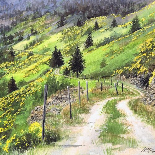 eboulis de genêts web