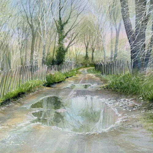 gouilles de manade web