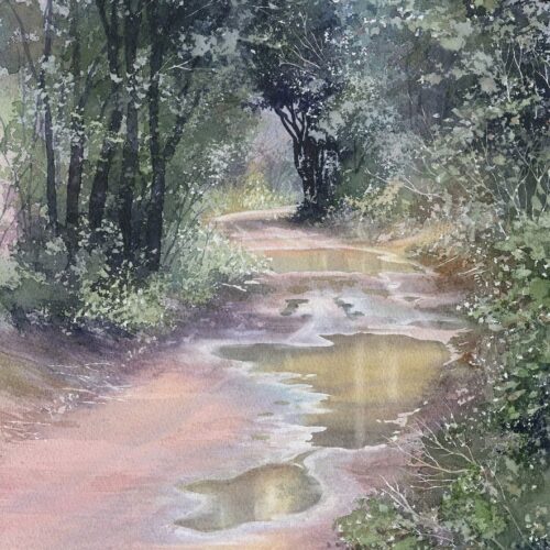 gouilles de boue web