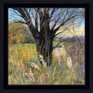 je suis saule caisse