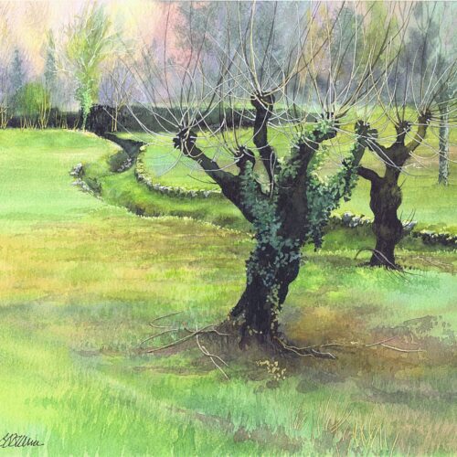 la fête de la décrue web