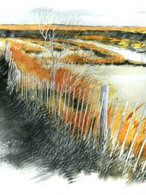 la ganivelle des salins web