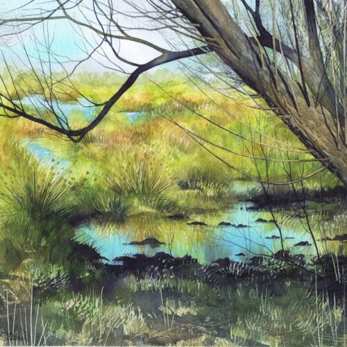 la gouille de l'ombre web