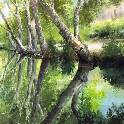 la vallée aux miroirs web(1)