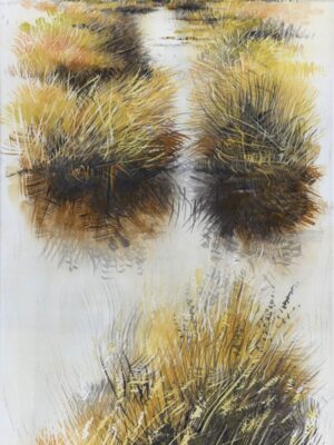 le chenal des marais web