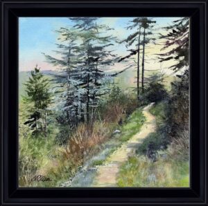 le sentier des cèdres e