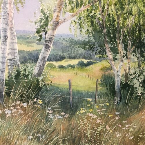 les bouleaux complet