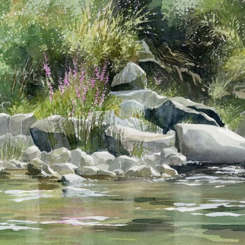 les salicaires au bain web