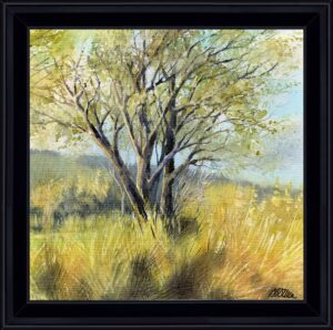 masmolène caisse(1)