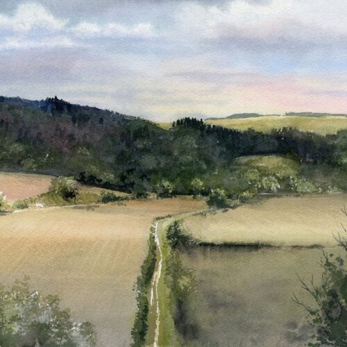 oasis de garrigue web