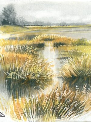 petit canal des roseaux