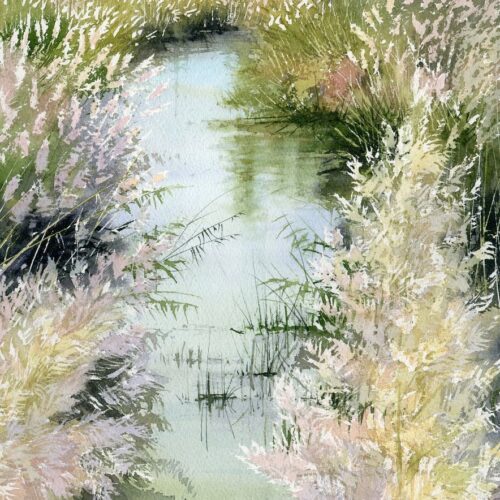 plumeaux de roseaux web