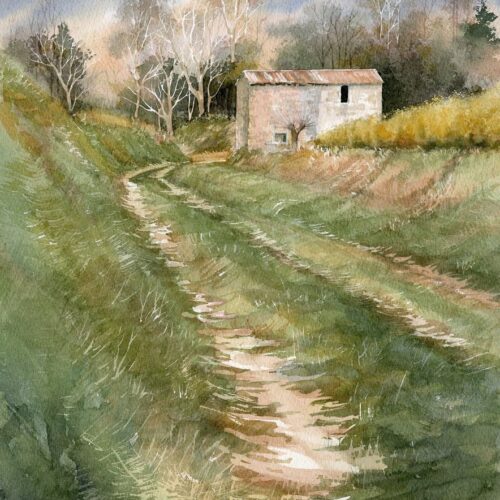 pointe d'asperges web