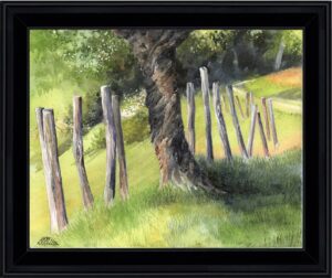 rangée de pommes e(3)