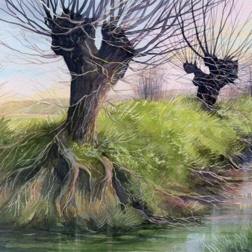 rinçage de racines web