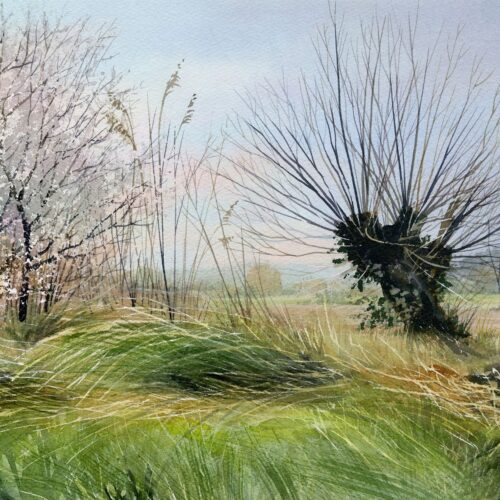 winkelried contre épine noire web