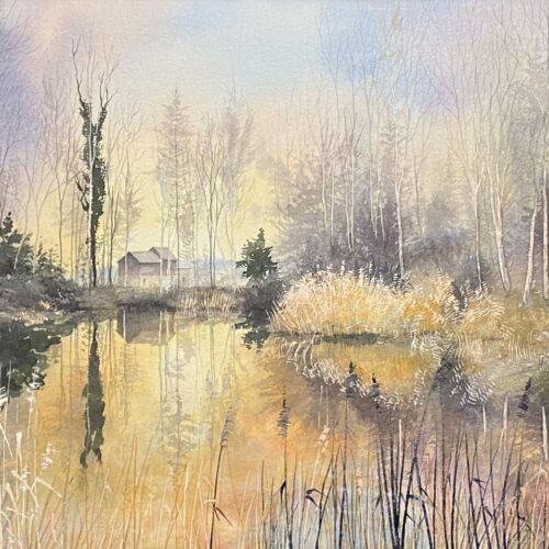 y a pas le feu au lac(1)