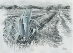 AQUARELLES La Reine