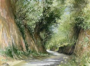 AQUARELLES Canyon gardois
