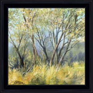 AQUARELLES Capelle