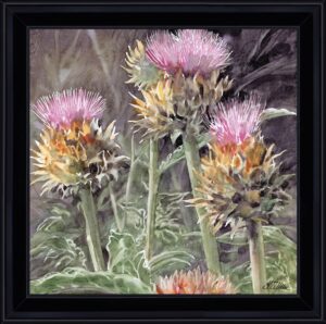 AQUARELLES Cardons