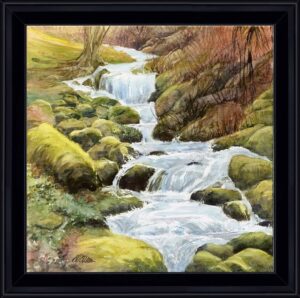AQUARELLES Eau qui coule ramasse la mousse