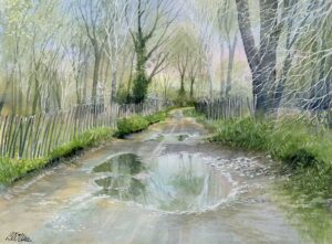 AQUARELLES Gouille de manade