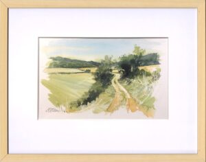 AQUARELLES La barbacane des champs