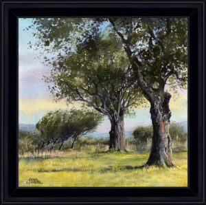 AQUARELLES La course des oliviers