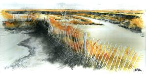 AQUARELLES La ganivelle des salins