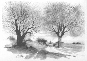 AQUARELLES Le chemin des arbres