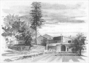 AQUARELLES Le grand Duc de Baron
