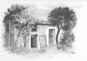 AQUARELLES Le grillage