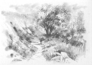 AQUARELLES Le sentier de la cascade