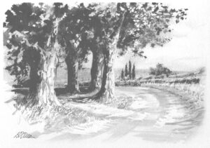 AQUARELLES Le virage aux platanes