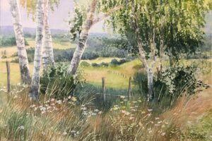 AQUARELLES Les bouleaux