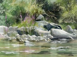 AQUARELLES Salicaires au bain