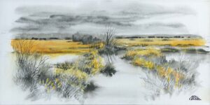 AQUARELLES Marais safrané