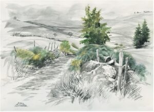 AQUARELLES Verdure bucolique