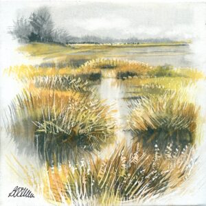 AQUARELLES Le passage des roseaux