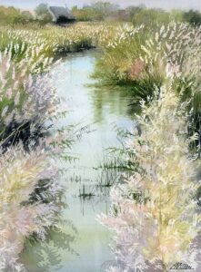 AQUARELLES Plumeaux de roseaux
